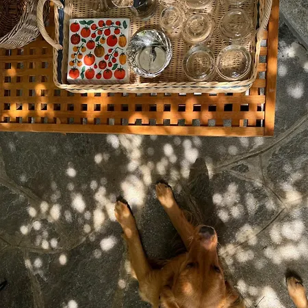 Artsy Italian Retreat With Stunning Views! *